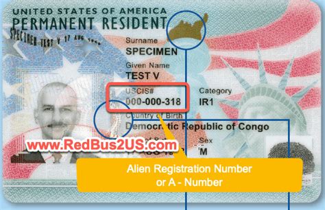 alien registration number format